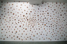 Jennis Li Cheng Tien19