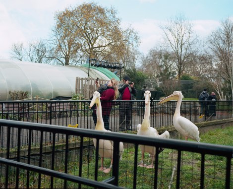 for Babel Sommerutstilling